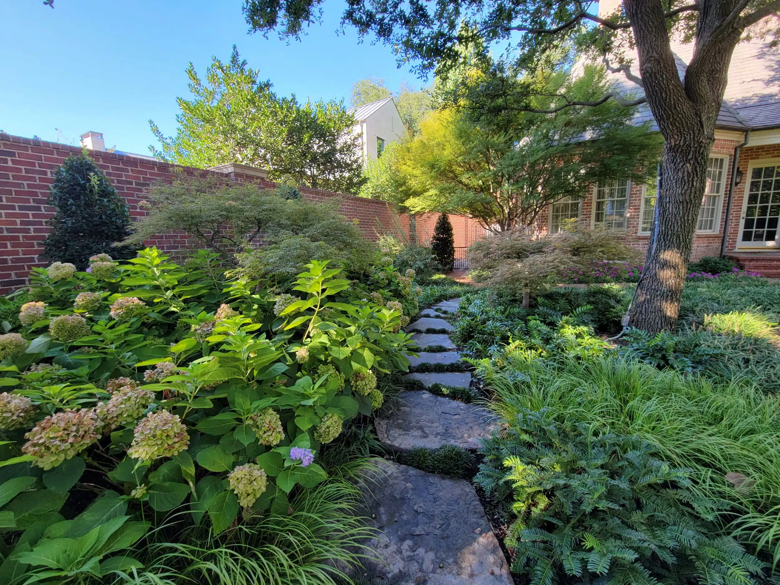Landscape Design Denton